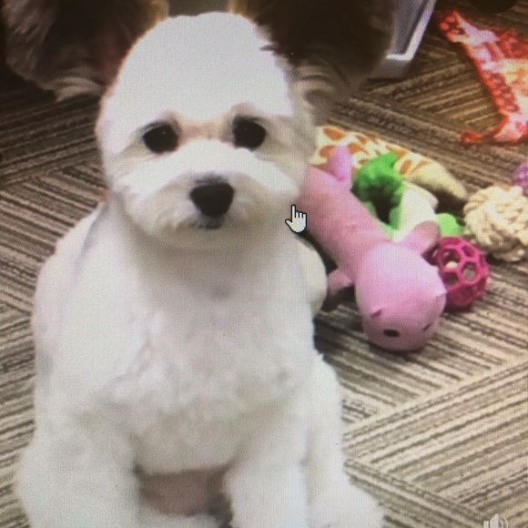 Meet your Posher, Jill - Picture 3 of 3